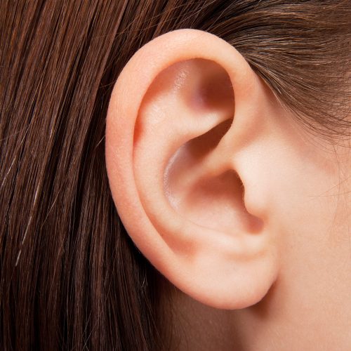 Ears -1 Session