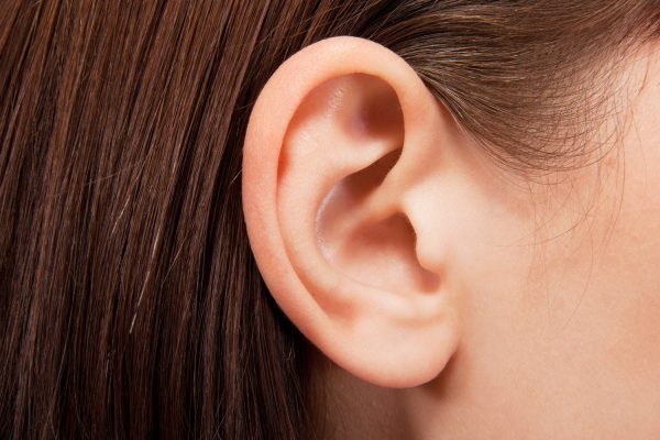Ears -1 Session