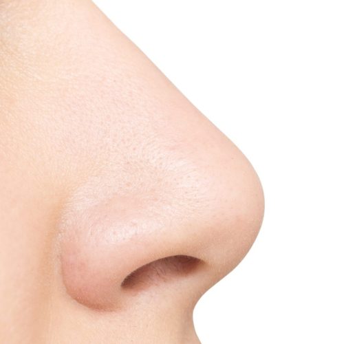 Nose