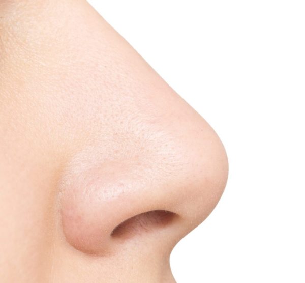 Nose